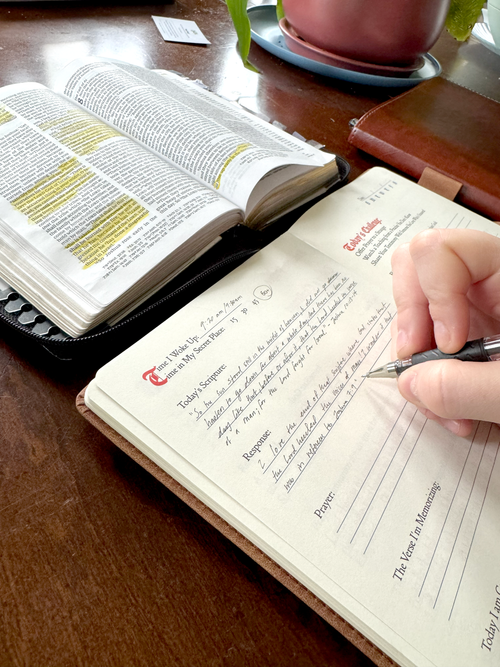 The Jesus Morning Journal 1st Edition